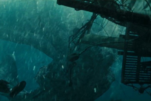 Сайт kraken в tor