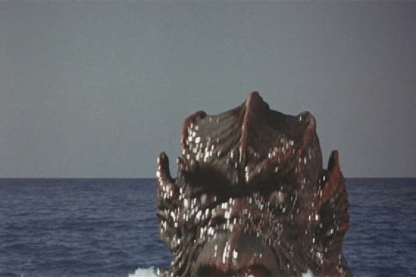 Kraken place