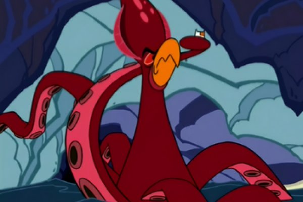 Kraken 19 at