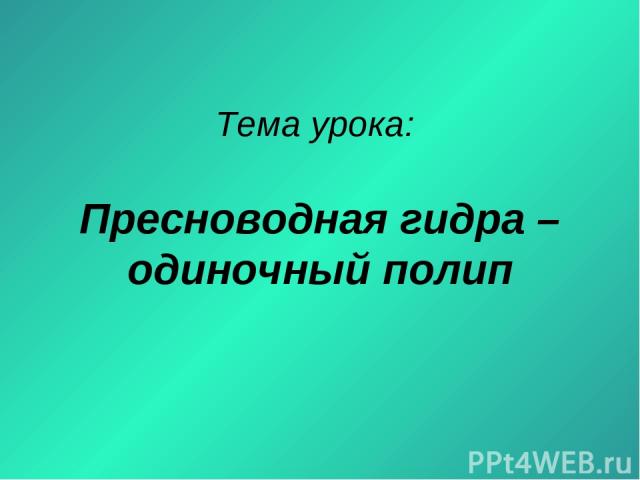 Кракен тор ссылка онион