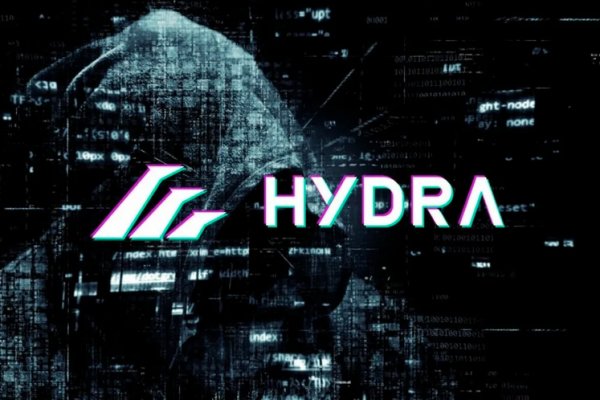 Как найти kraken