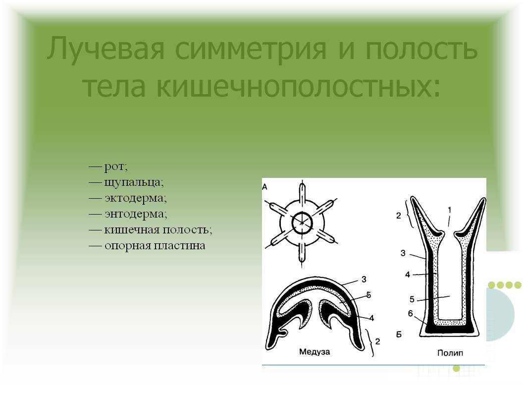 Кракен маркетплейс krk store com
