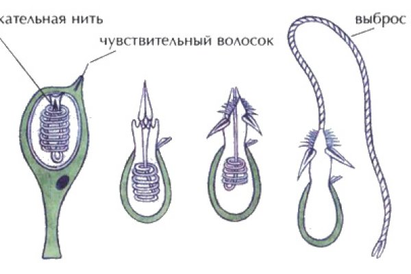 Kraken официальный сайт ссылка krk store com